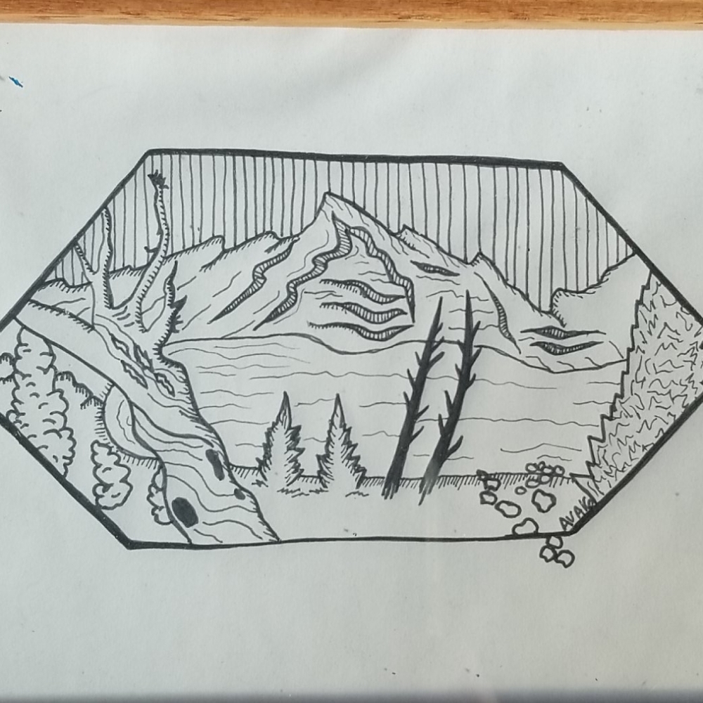 Minimalist Line Drawing - Picture 2 of 3